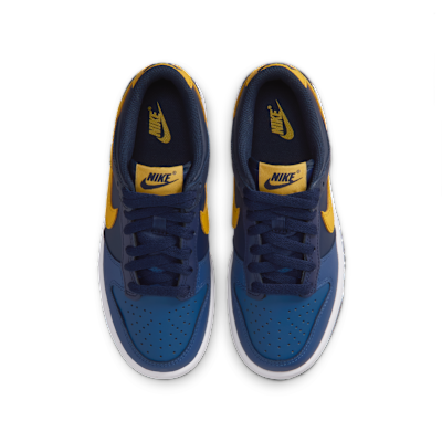 Nike Dunk Low Big Kids' Shoes