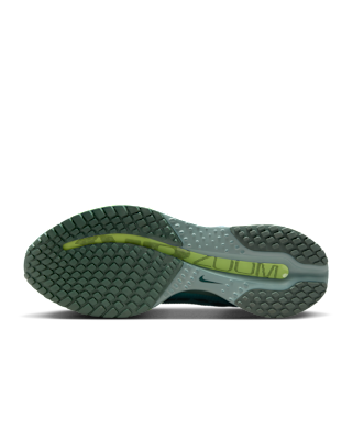 Nike Pegasus Premium