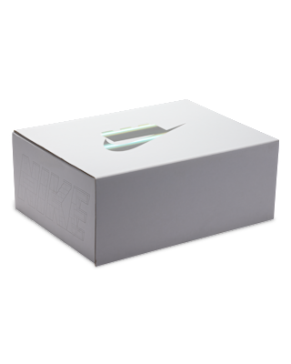 Nike Dunk 低筒鞋 x 樂高® 系列