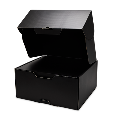 レブロン 23 "Miami Twice" バスケットボールシューズ