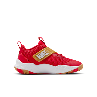 Nike Team Hustle D 12 Older Kids' Basketball Shoes