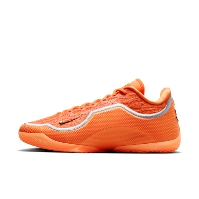 Nike LeBron XXIII Shoe Bag basketball shoe