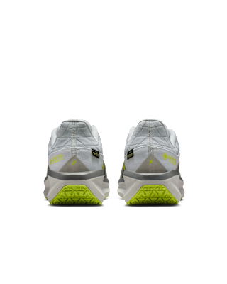 Nike Winflo 11 GORE-TEX