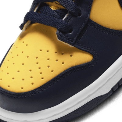 Nike Dunk Low Big Kids' Shoes