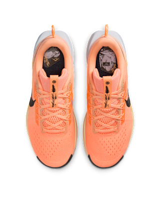 Nike Pegasus Trail 5