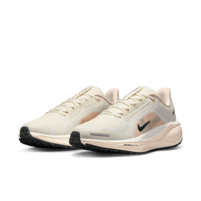 Nike Pegasus 41 GORE-TEX waterdichte hardloopschoenen voor dames (straat)