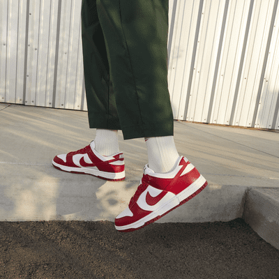 Chaussure Nike Dunk Low Next Nature pour Femme