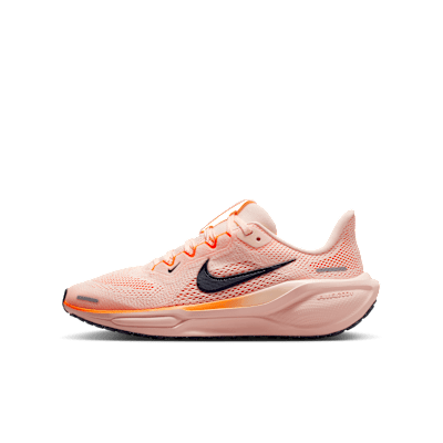 Nike Pegasus 41