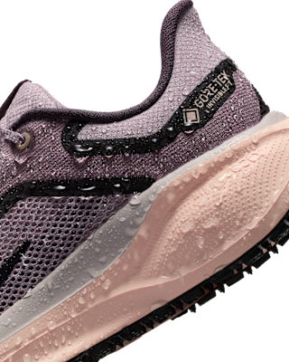 Nike Pegasus 41 GORE-TEX