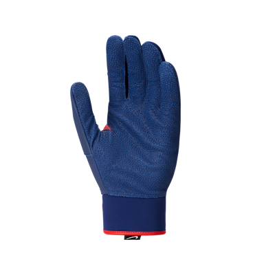 Nike Alpha Elite 2.0 Baseball Batting Gloves