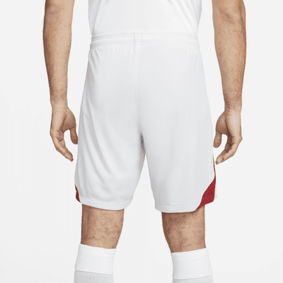 Galatasaray 2023/24 Stadium Away Men's Nike Dri-FIT Football Shorts