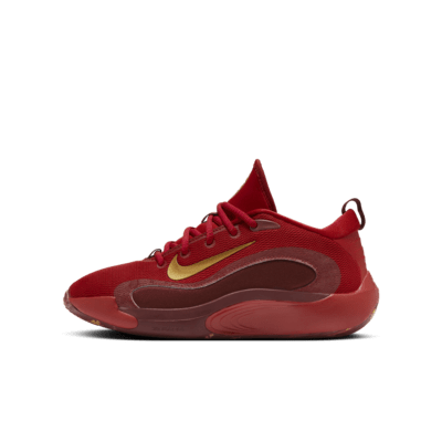 Nike IsoFly Big Kids' Basketball Shoes