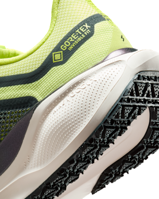 Nike Pegasus 41 GORE-TEX