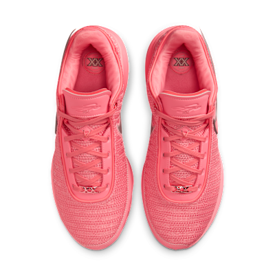LeBron XX EP Basketball Shoes