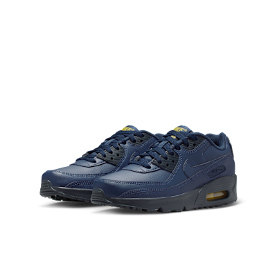 Nike Air Max 90 LTR sko til store barn