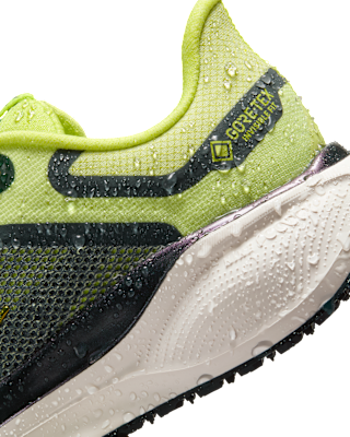 Nike Pegasus 41 GORE-TEX