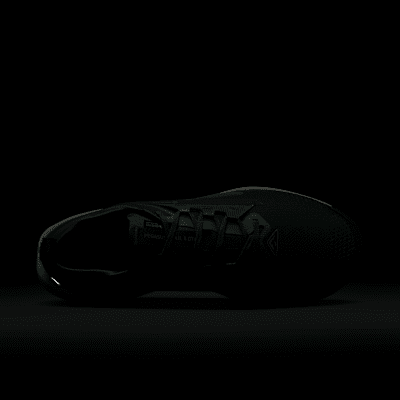 ナイキ ペガサス トレイル 5 GORE-TEX メンズ 防水 トレイル ランニングシューズ