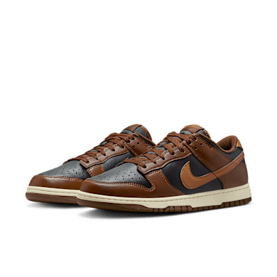 Nike Dunk Low Retro Men's Shoes