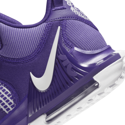 LeBron Witness 7 (Team) Basketball Shoes