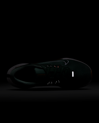 Nike Juniper Trail 2 GORE-TEX