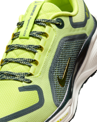 Nike Pegasus 41 GORE-TEX