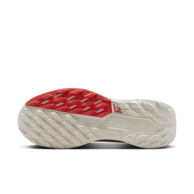 Scarpa impermeabile da trail running Nike Pegasus Trail 5 GORE-TEX – Donna