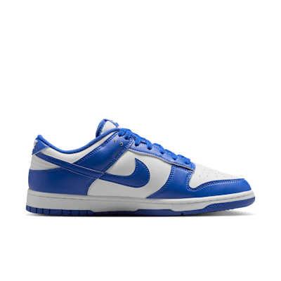 Nike Dunk Low Retro Men's Shoes