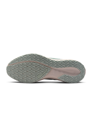 Nike Pegasus 41 GORE-TEX