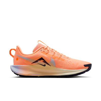 Scarpa da trail running Nike Pegasus Trail 5 – Uomo