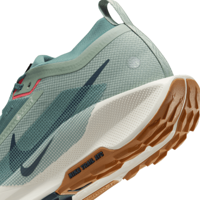 Vattentät terränglöparsko Nike Pegasus Trail 5 GORE-TEX för män