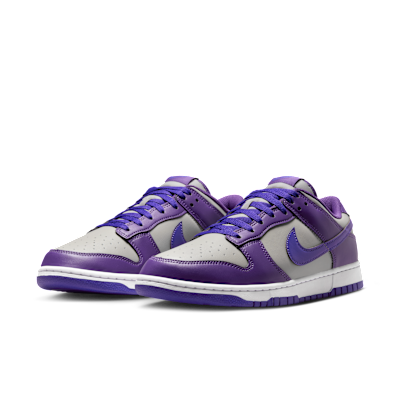 Nike Dunk Low Retro Men's Shoes