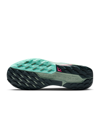 Nike Pegasus Trail 5 GORE-TEX