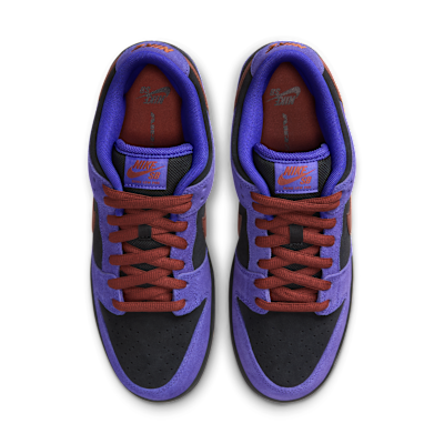 Nike SB Dunk Low Pro Skate Shoes