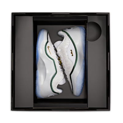 LeBron XXIII 'From This Point Forward' Basketball Shoes