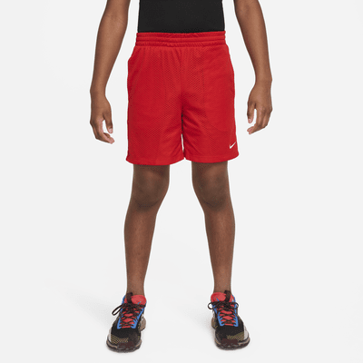 Nike Multi Big Kids' (Boys') Dri-FIT Mesh Shorts