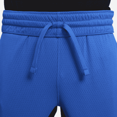 Nike Trophy Older Kids' (Boys') Training Shorts