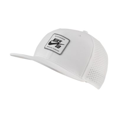 nike sb mesh hat