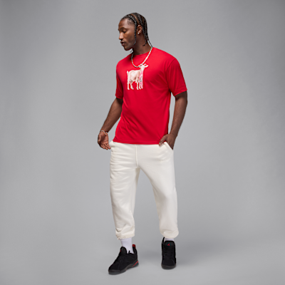 T-shirt Jordan pour homme
