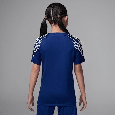 Paris Saint-Germain 2024/25 Stadium Fourth Older Kids' Jordan Dri-FIT Football Replica Shirt