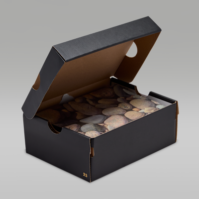 Air Jordan 1 Low SE Big Kids' Shoes