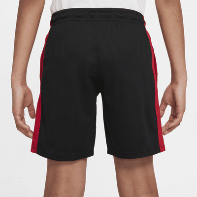 Jordan Big Kids' Sport Shorts
