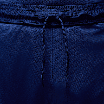 Paris Saint-Germain 2025 Stadium Fourth Men's Jordan Dri-FIT Football Replica Shorts