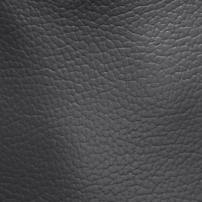 Jordan Monarch Lanyard Wallet