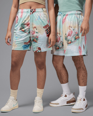 Мужские шорты Jordan Essentials Printed Mesh Shorts
