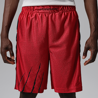 Jordan Brooklyn Cat Scratch Men's Black Cat Shorts