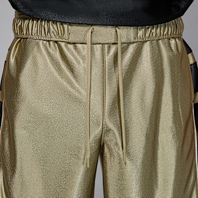 Jordan Brooklyn Cat Scratch Men's Shorts