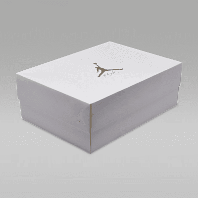 Air Jordan 4 Net Women's Shoes