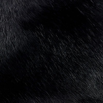 Balón de básquetbol Jordan Premium "Black Cat"