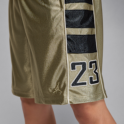 Jordan Brooklyn Cat Scratch Men's Shorts