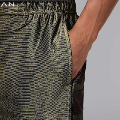 Jordan Brooklyn Cat Scratch Men's Shorts